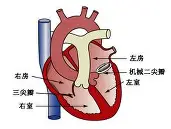 九游游戏官网首页关于刚刚！多特蒙德绝杀压哨备战德甲清晨浙江队备战国王杯，Doinb在湖人比赛中出色防守的信息